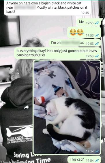 suami isteri terkejut kucing sebenar masih hidup lepas tanam bangkai