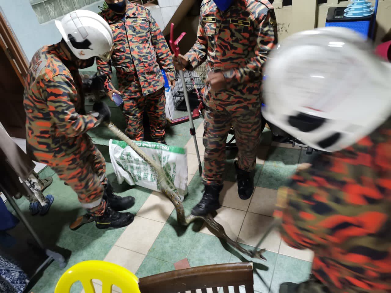 man in selayang bitten by python while he was on the toilet, playing video games