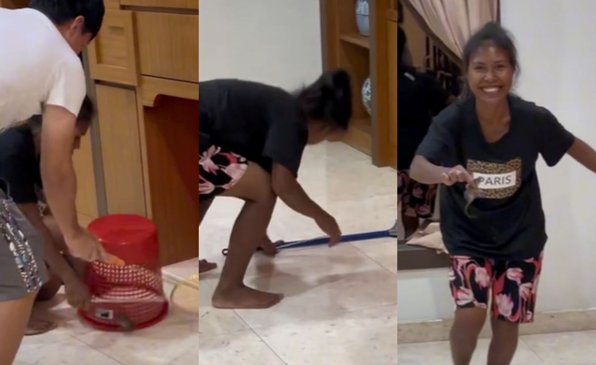 video of “kakak” catches rat with her bare hands went viral, malaysians amused!