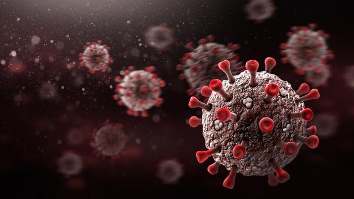 【注意】这4种人最容易感染xbb病毒！