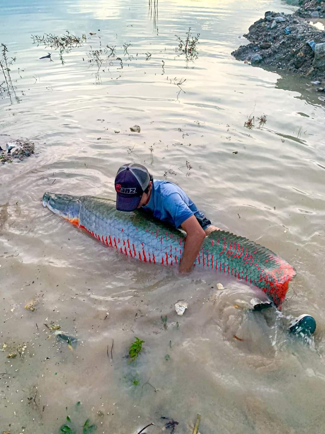 m’sian man catches enormous arapaima fish that is as big as him in puchong lake!