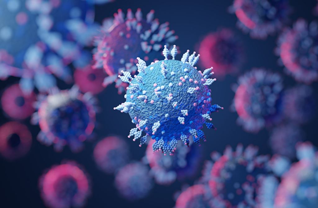 covid-19 cases in malaysia will start to increase in november and december due to infectious omicron xbb variant, says health dg