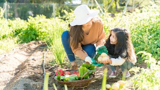 aktiviti yang boleh merapatkan hubungan bersama anak-anak di rumah 