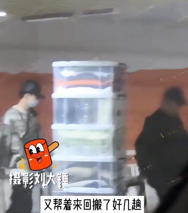 白敬亭宋轶恋爱实锤？已经同居见父母了！