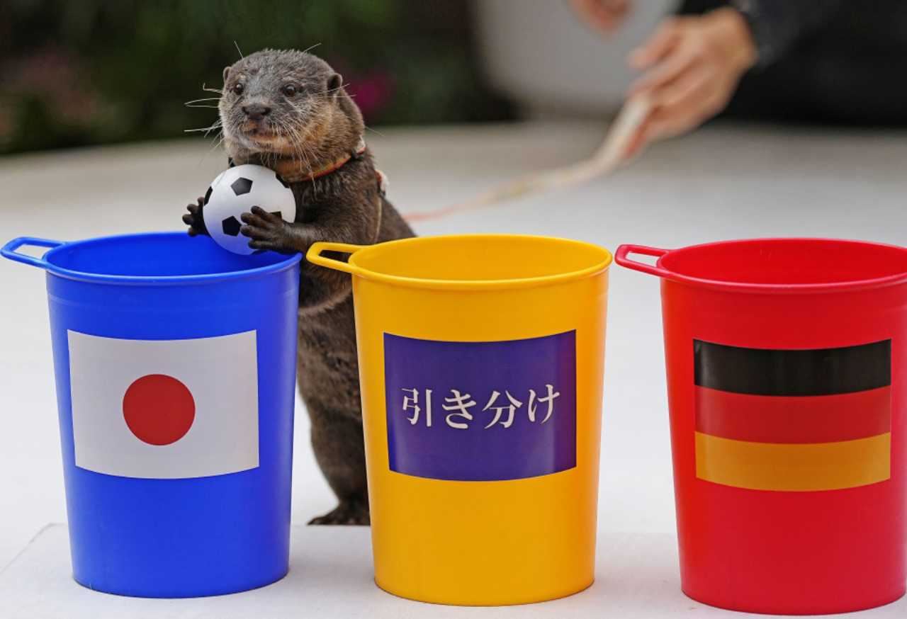 memerang tular lepas teka jepun menang lawan jerman di piala dunia 2022