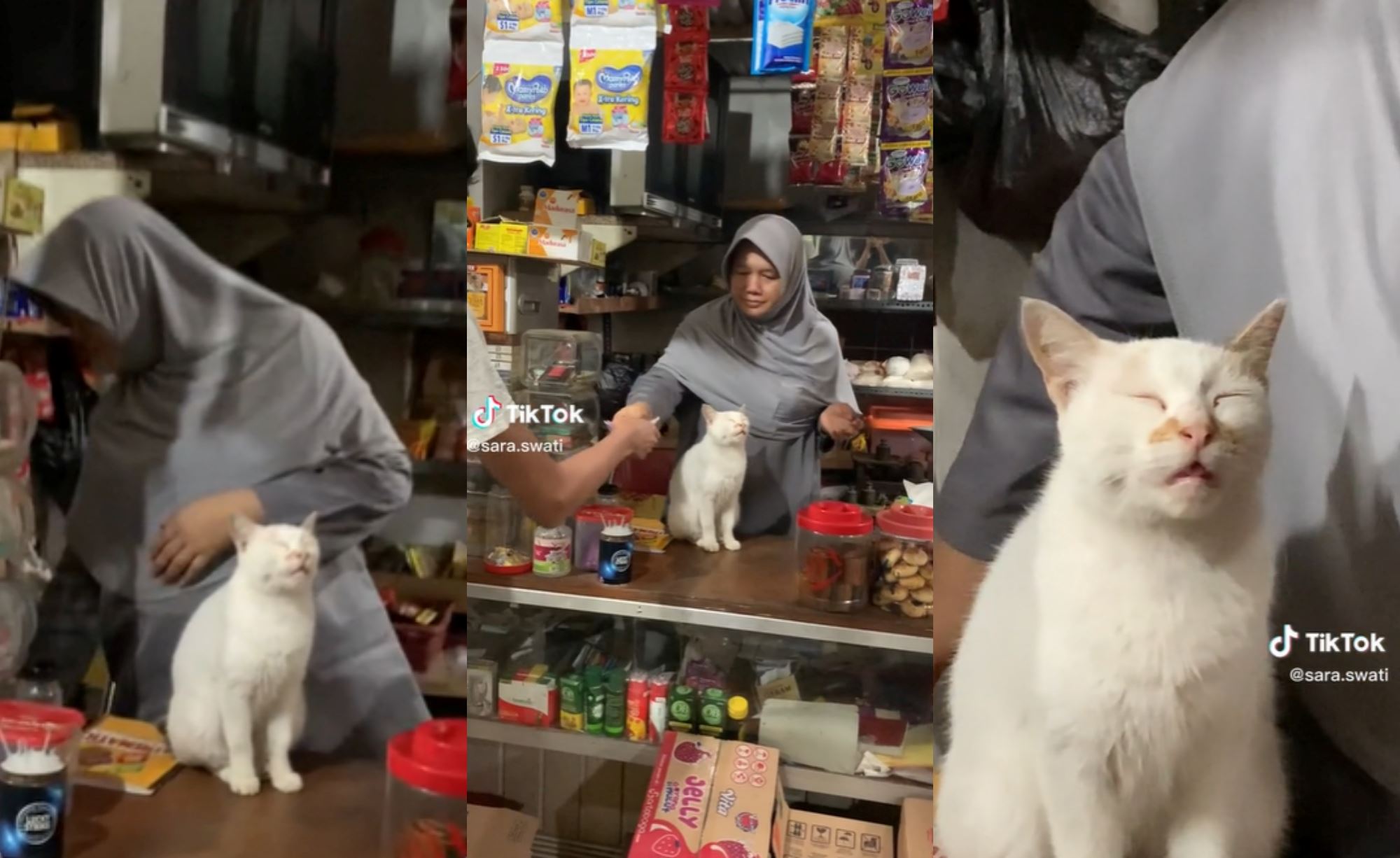 “he’s the boss!” video of cat ‘sleeping on the job’ goes viral, netizens amused