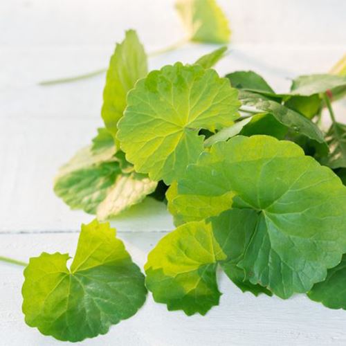 8 jenis ulam yang popular