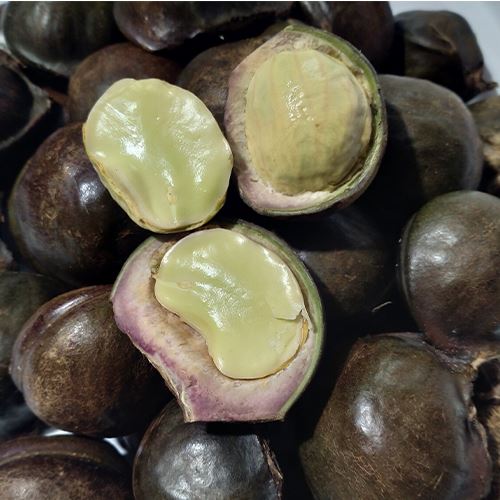 8 jenis ulam yang popular