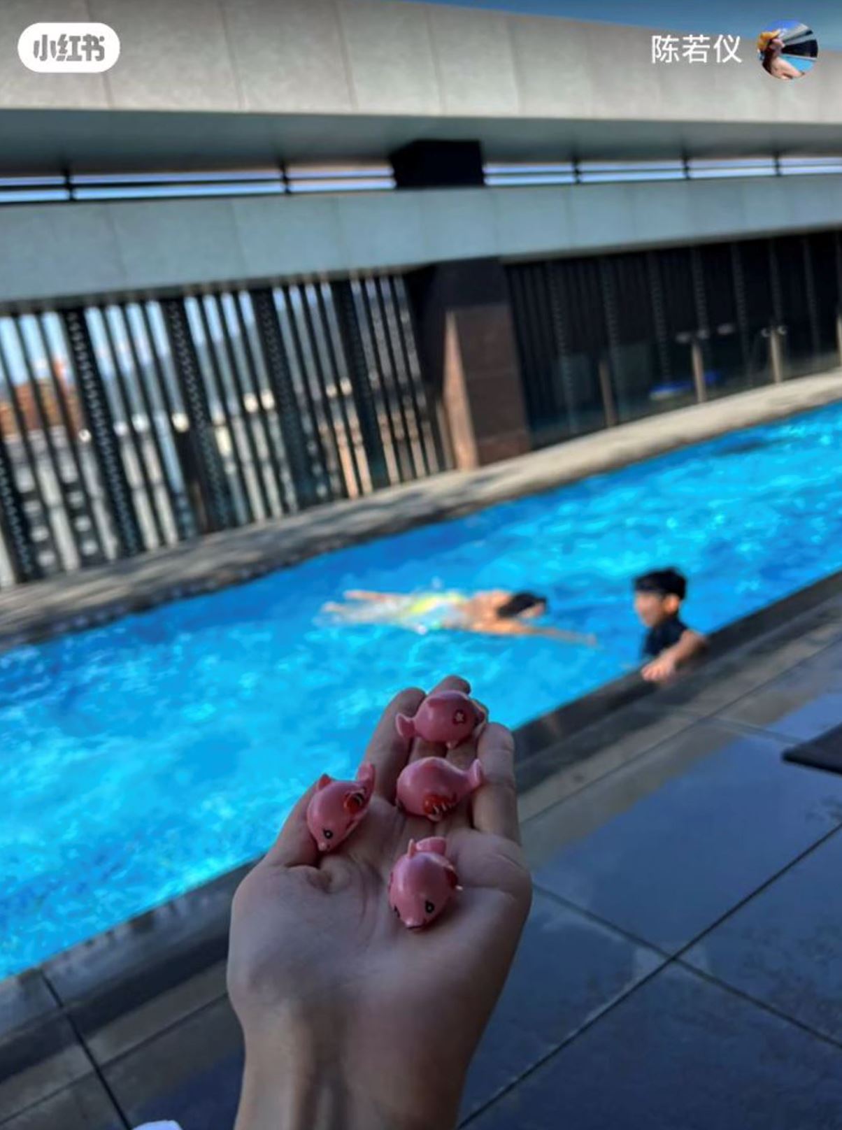 【又迎来小宝宝？】林志颖爱妻疑怀第四胎！