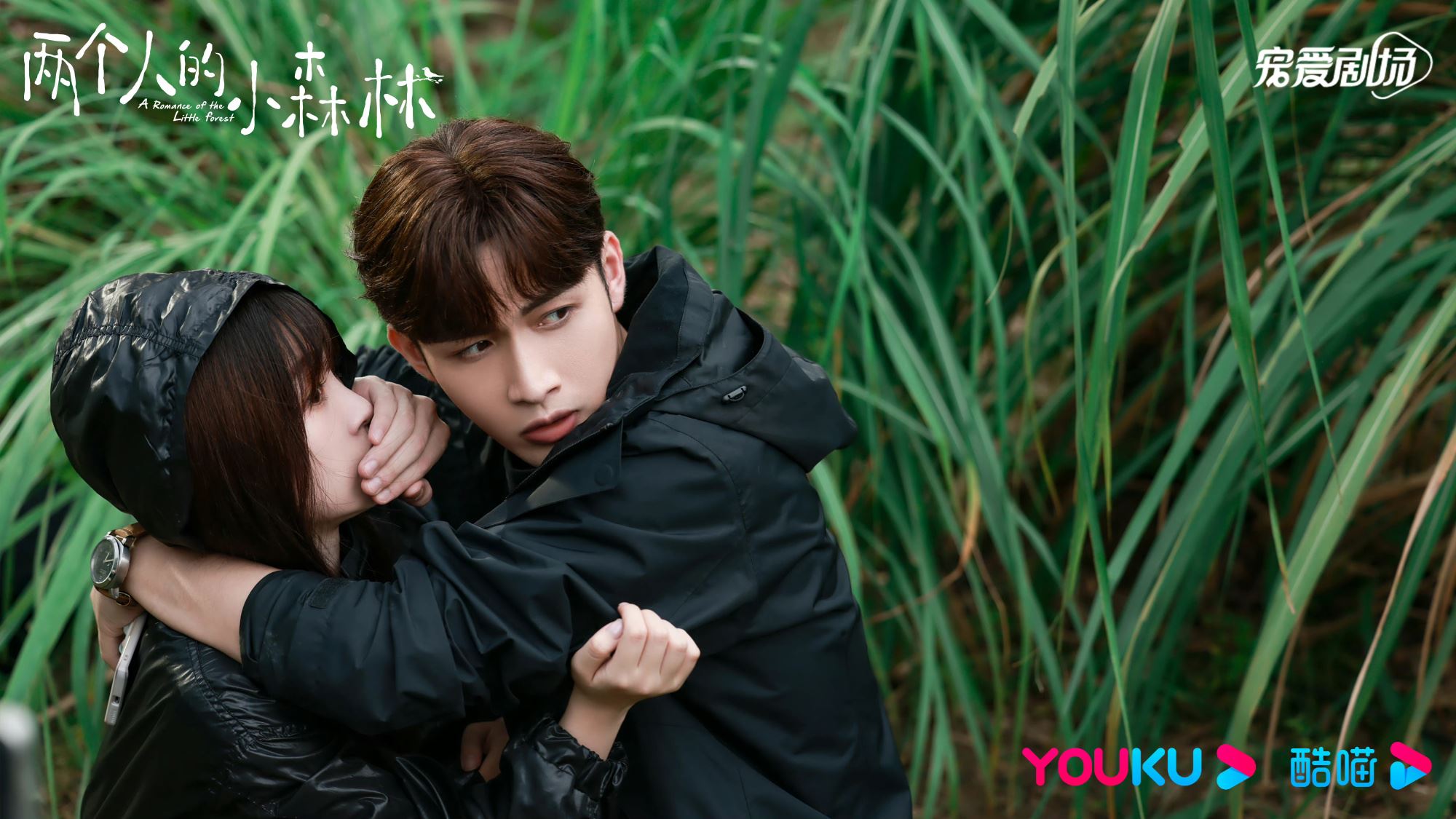 📺虞书欣《苍兰诀》《两个人的小森林》破万🎉成双平台热度破万女主演第一人🔥