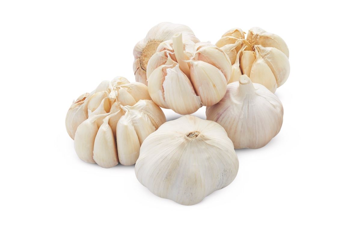 White garlic