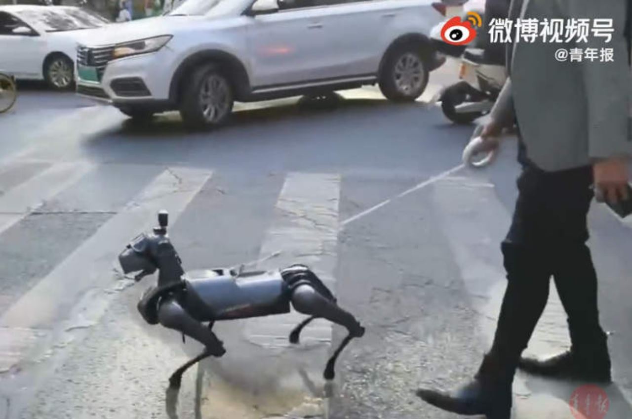 bela robot anjing berjalan kini jadi satu trend di china