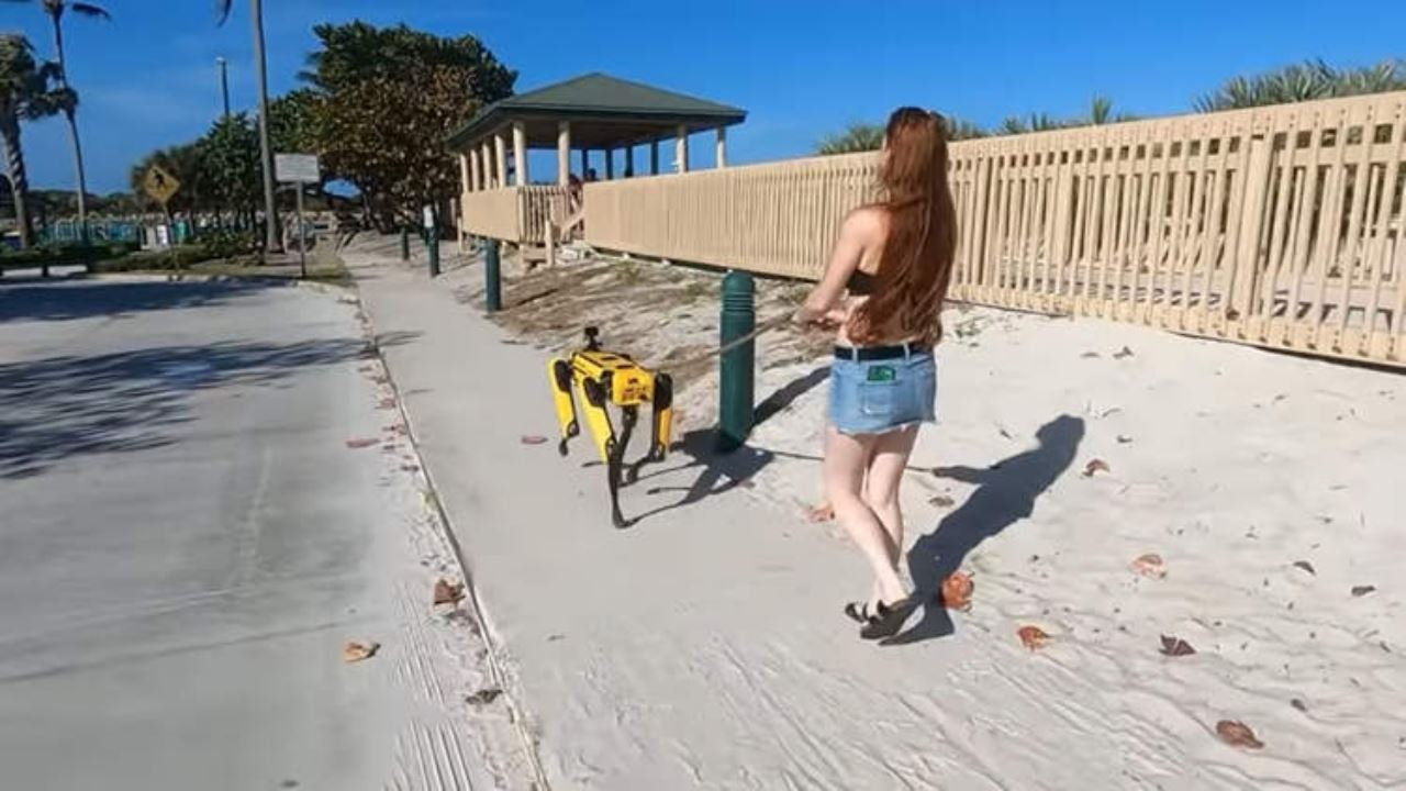 bela robot anjing berjalan kini jadi satu trend di china