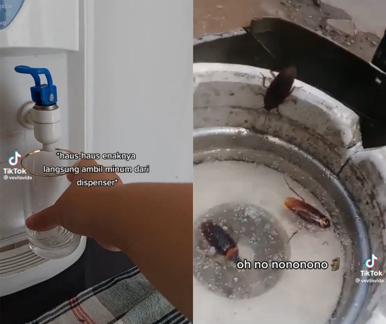 rasa air beza dari biasa, rupanya ada sarang lipas dalam bekas air