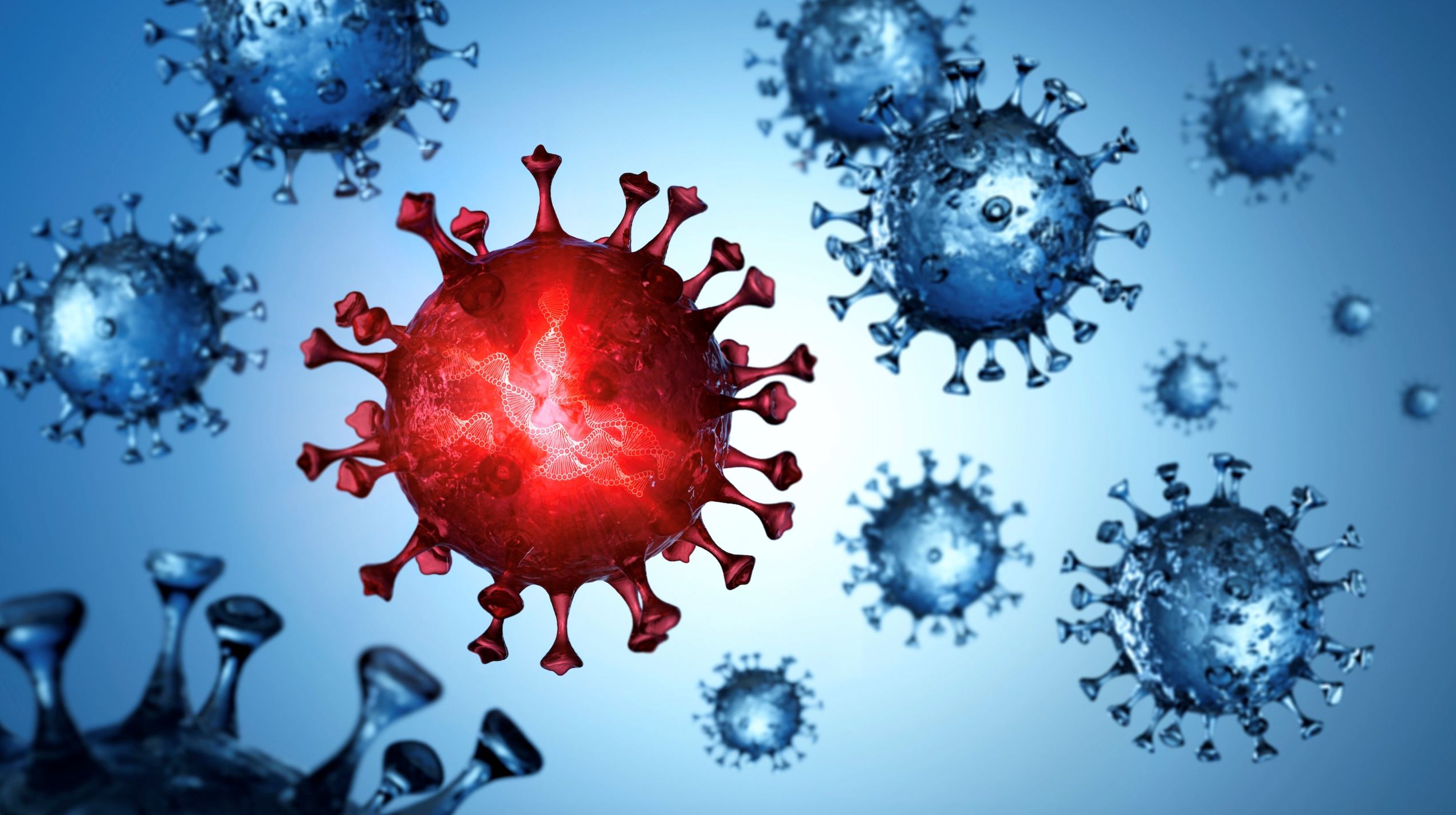 新加坡爆发新变种病毒！有几率二次感染！