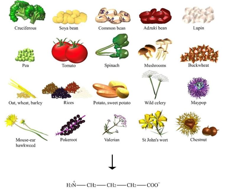 ramai tak tahu tentang kepentingan gaba, siapa ada anxiety atau adhd wajib baca