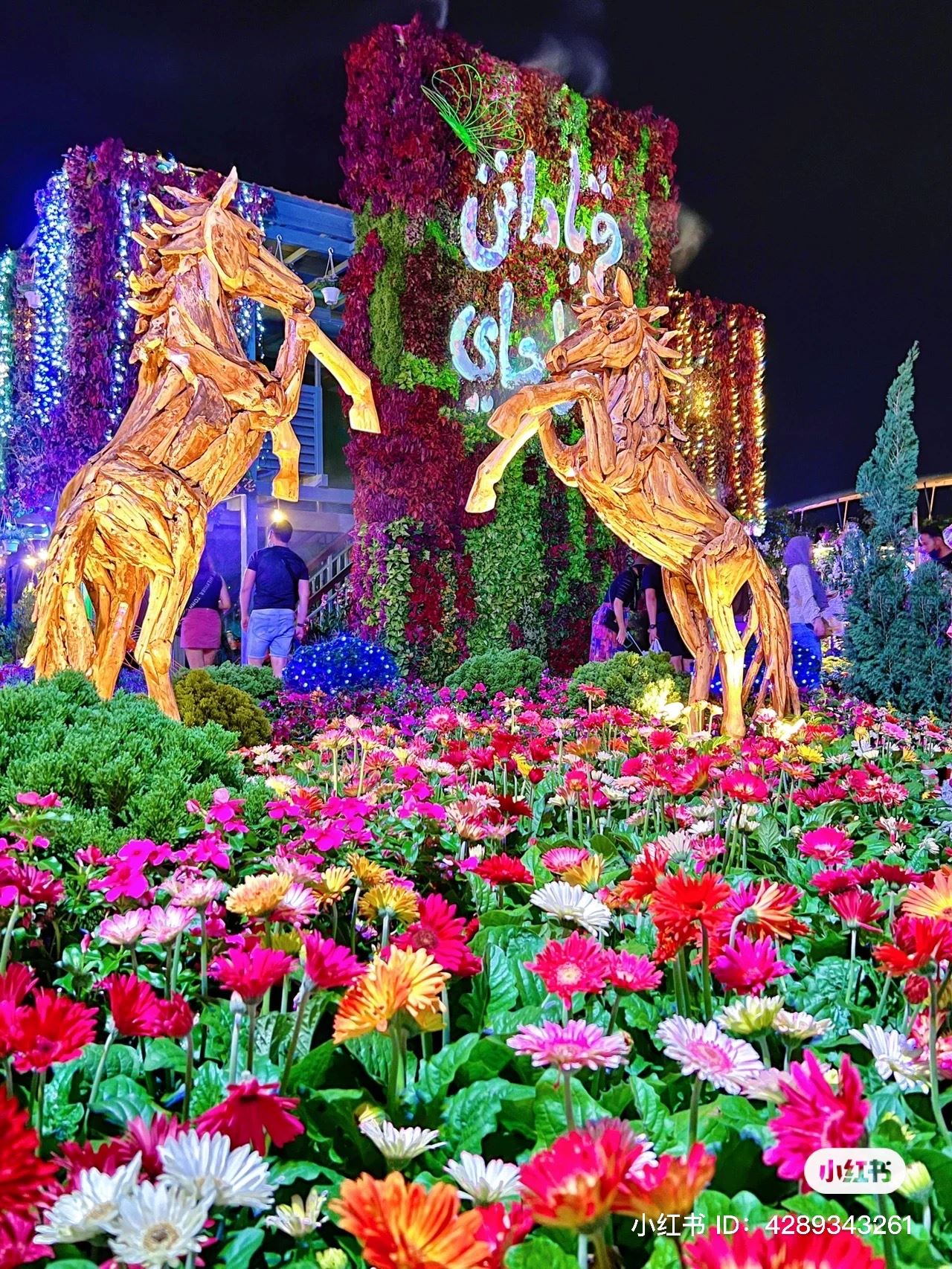 【免费入场】putrajaya花卉展延至周日！