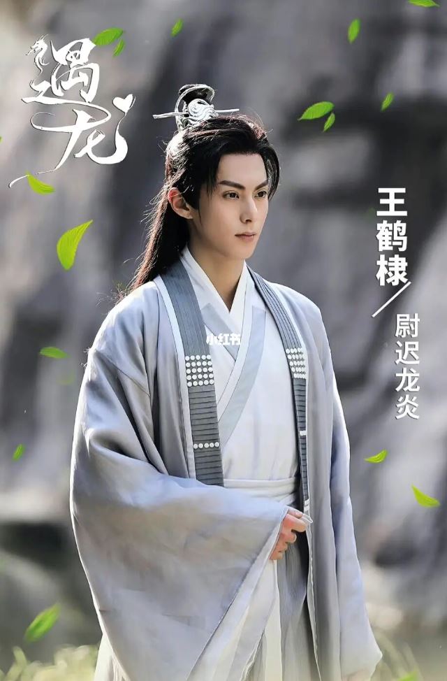 【王鹤棣】电视剧合集📺 剧荒推荐～