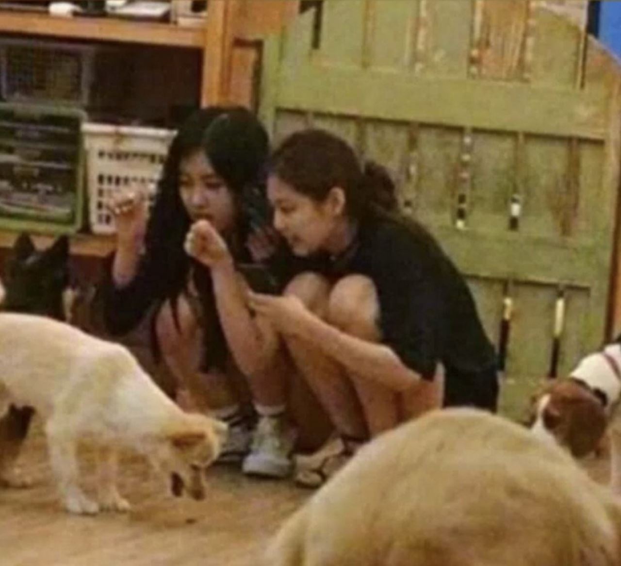 gambar-gambar lama ahli blackpink buat netizen terpesona