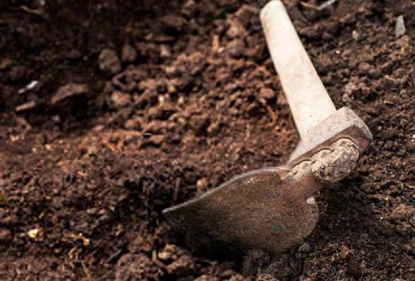 pasangan suami isteri tanam 8 juta euro untuk elak bayar cukai 