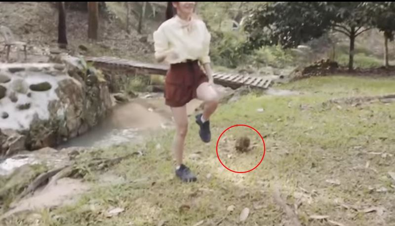 hong kong actress, priscilla wong’s leg injured by durian while filming travel show in malaysia