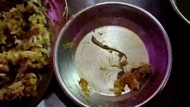 lelaki jatuh sakit lepas jumpa ekor cicak dalam kari