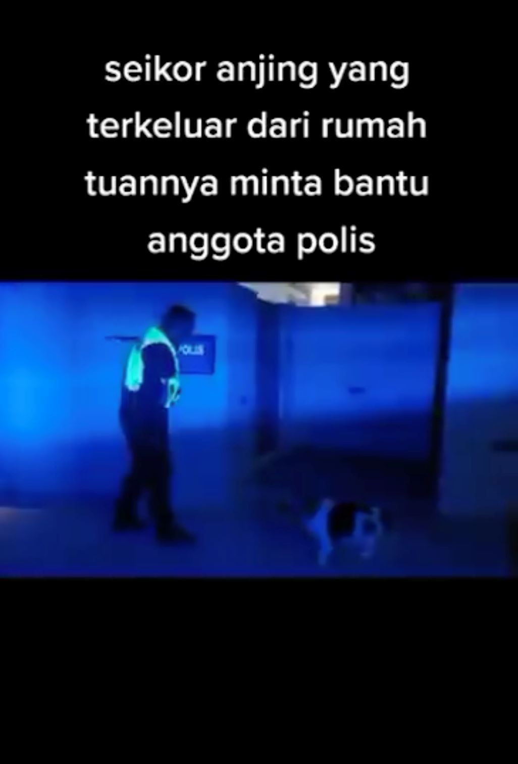 【超萌预警】狗狗拜托警察帮忙按门铃萌翻网友！