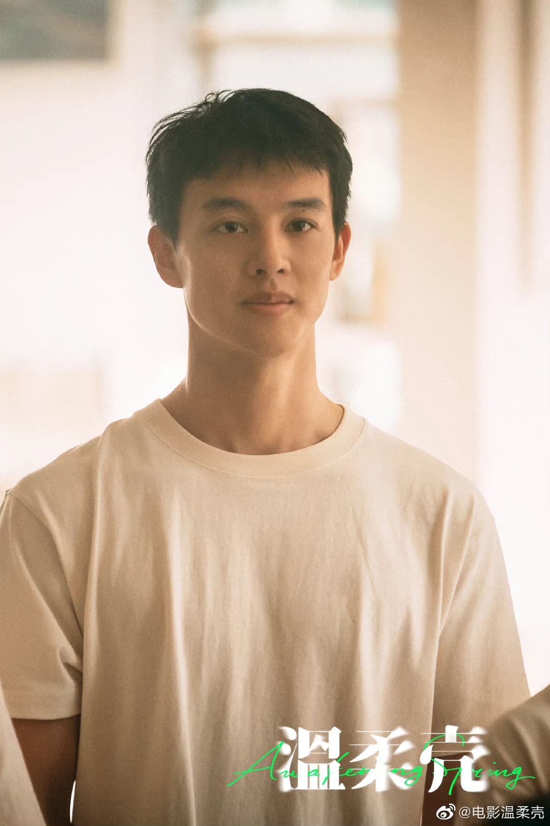 🎥王子文电影温柔壳 🎬15秒贴片预告曝光🥺🔥