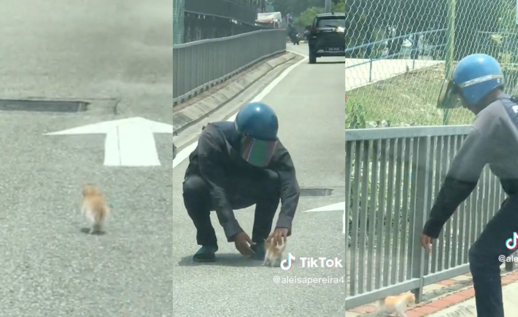 netizens touched! abang rider removes kitten from the road, ends up bringing it with him