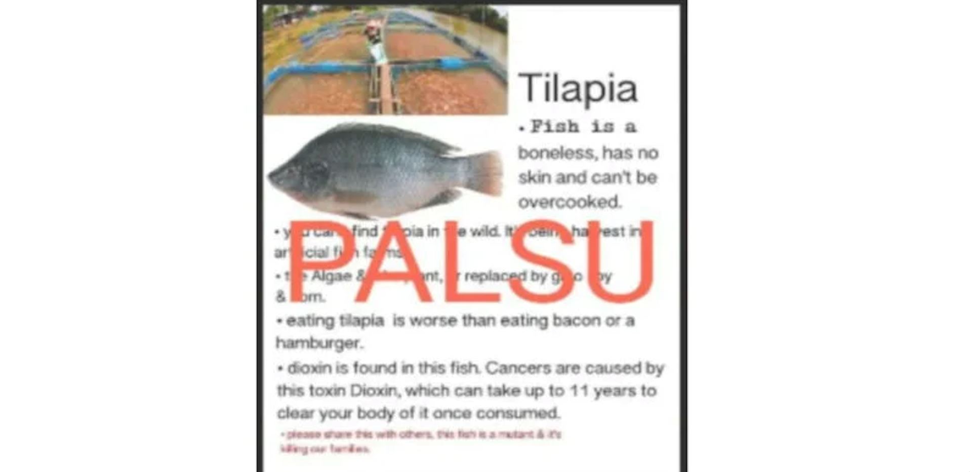 jangan percaya berita palsu, ikan talapia selamat dimakan!