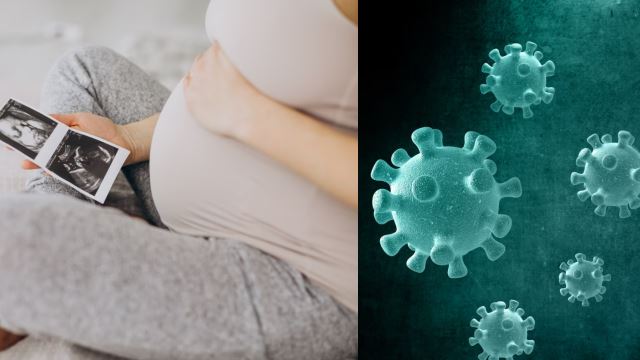 pregnant-covid-640.png