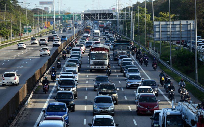 jangan abai 10 perkara ini jika tinggal kucing di rumah masa balik kampung