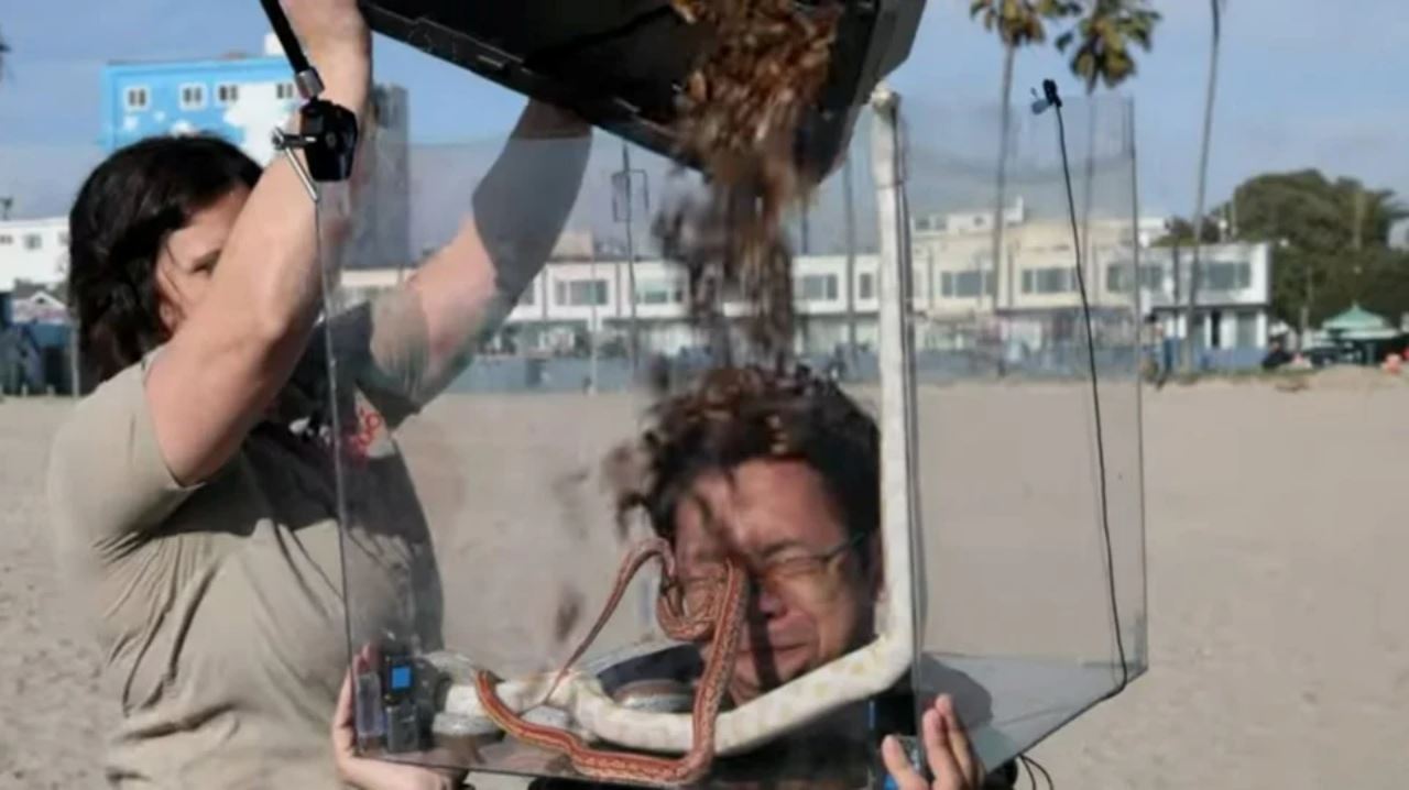 sofyank kagumkan negara, juara video kesan khas bersama zach king di as