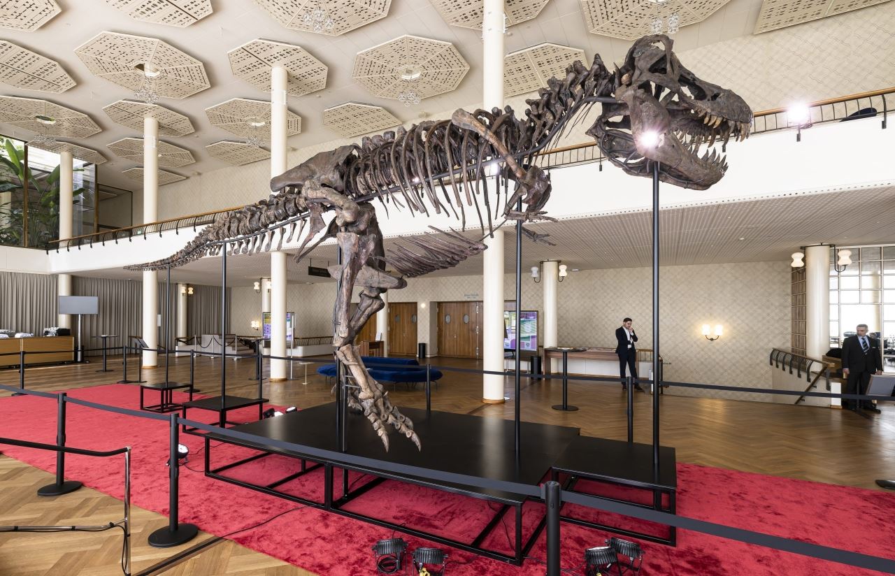 kini jadi trend koleksi orang kaya, rangka dinosaur t-rex dilelong pada rm27.5 juta