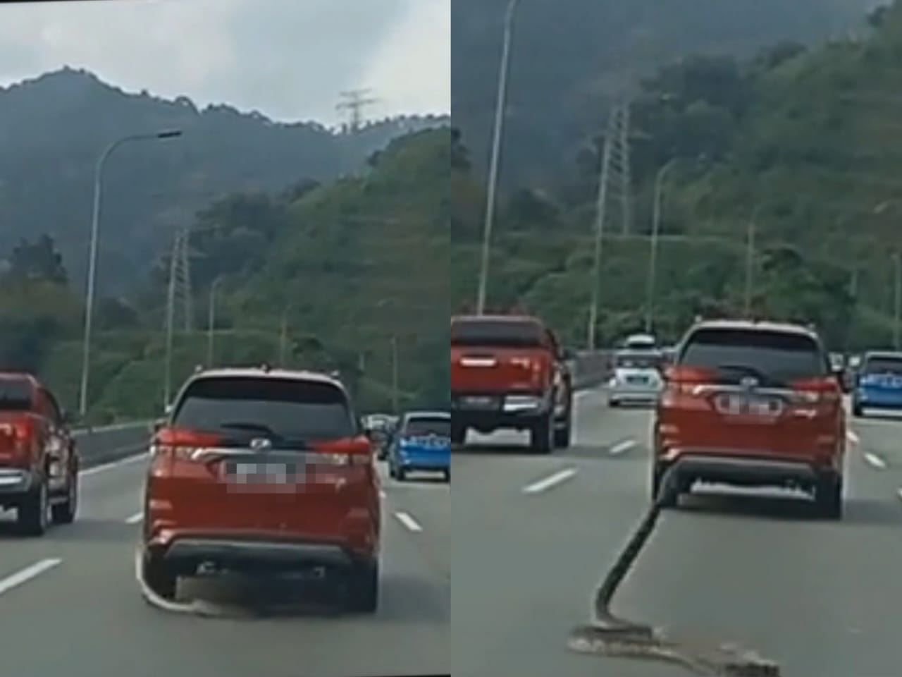 warganet cuak lihat ular tiba-tiba jatuh dari kereta atas highway kl-karak