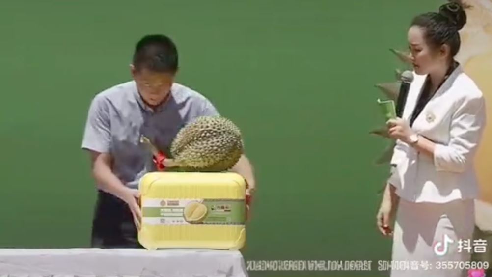 durian pertama ‘made in china’ dijual pada harga cecah rm250,000 sebiji [video]