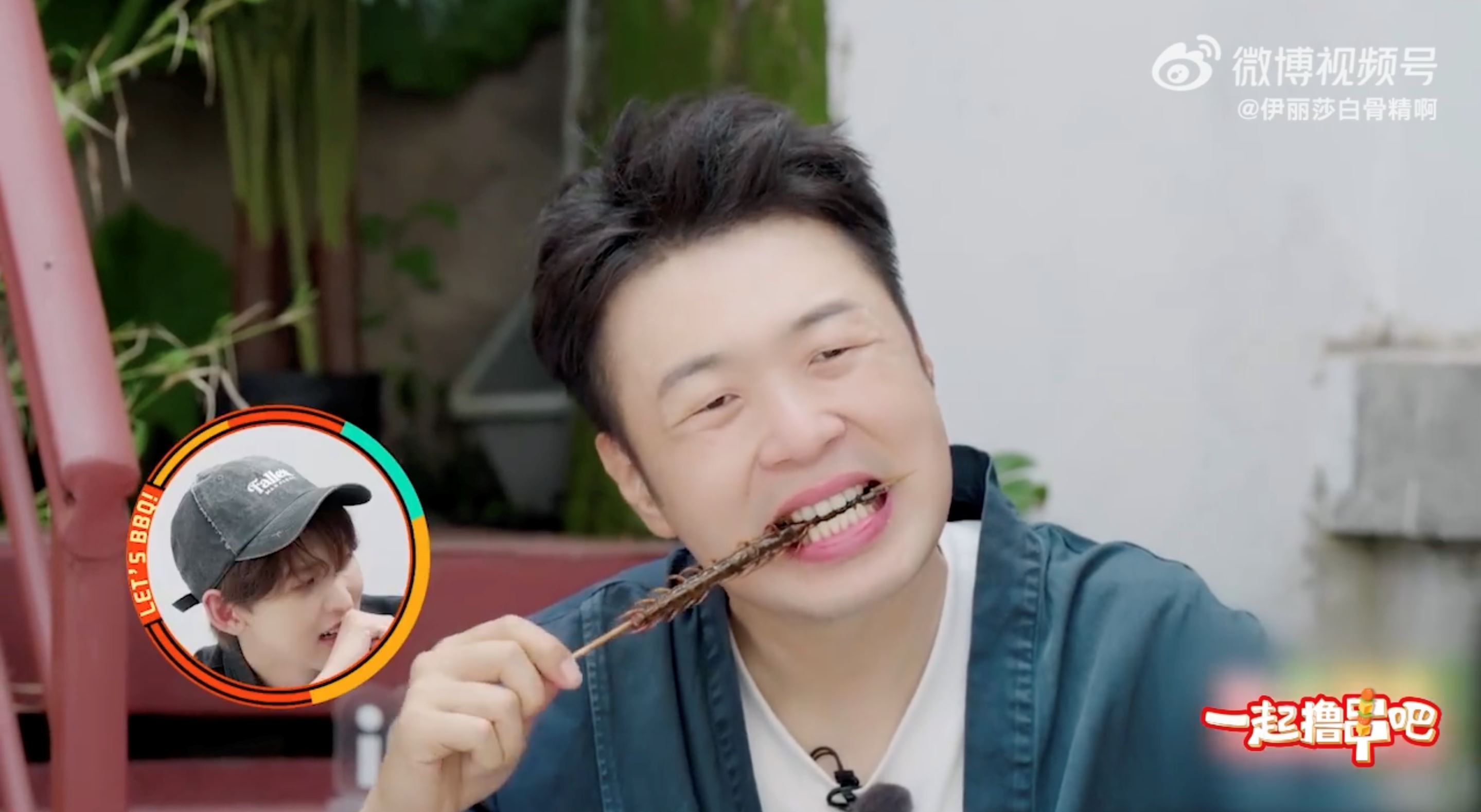 杜海涛一口吃掉蜈蚣和蝎子❗惊呆陆综《一起撸串吧》嘉宾们😱