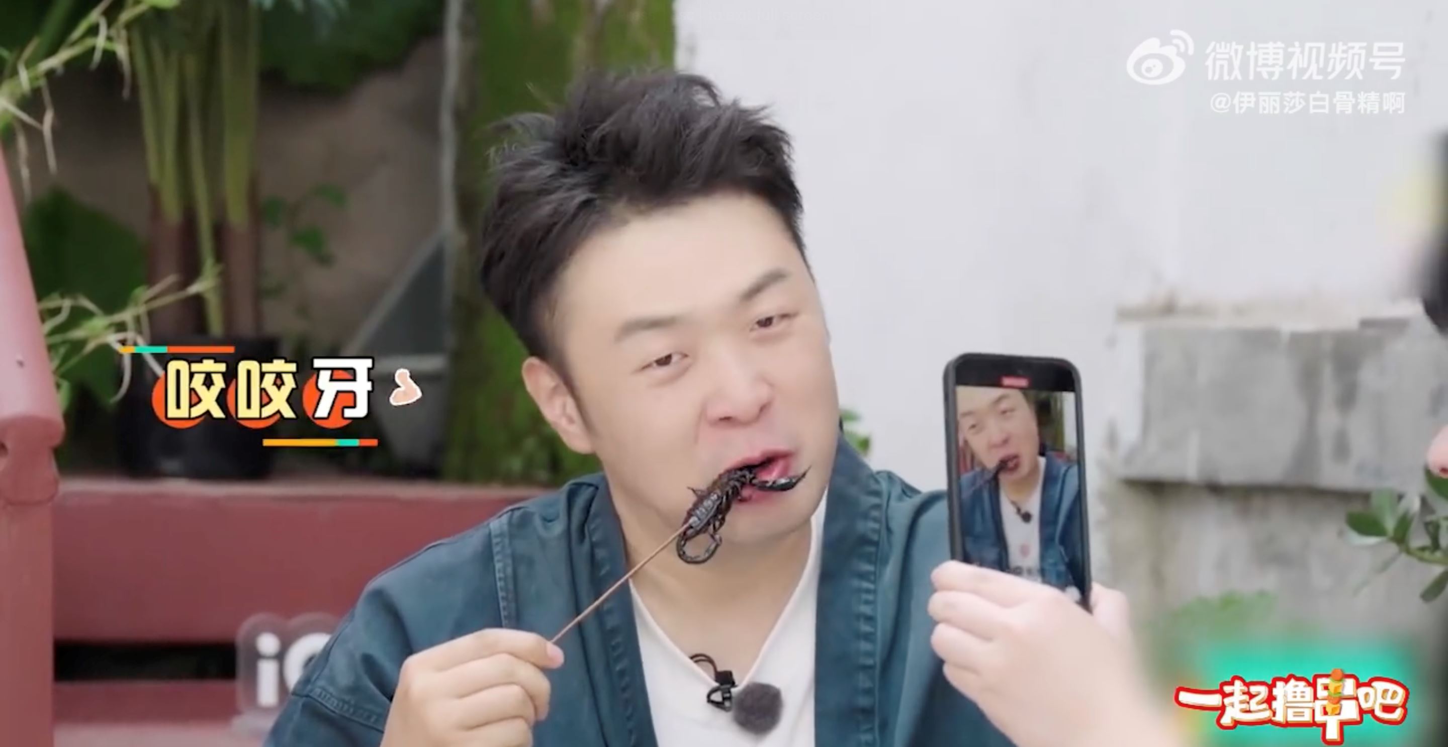 杜海涛一口吃掉蜈蚣和蝎子❗惊呆陆综《一起撸串吧》嘉宾们😱