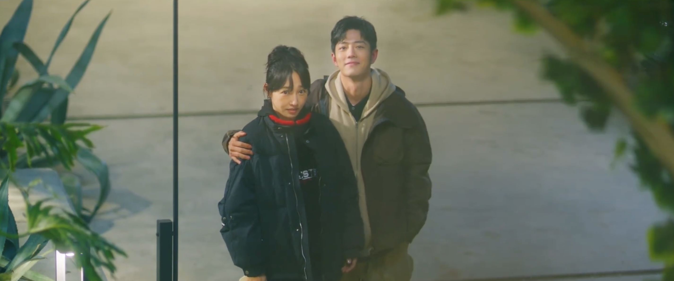 陆剧《骄阳伴我》901开播❗白百合与肖战双向奔赴🔥