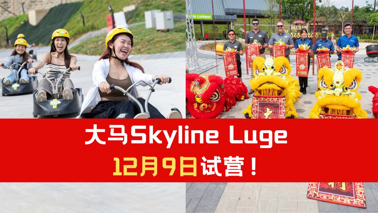 skyline-luge-12-9-2.png