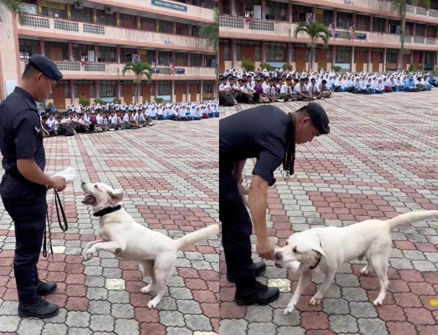 abang polis brings k-9 officer to school, showing kids their tricks – malaysians amused!