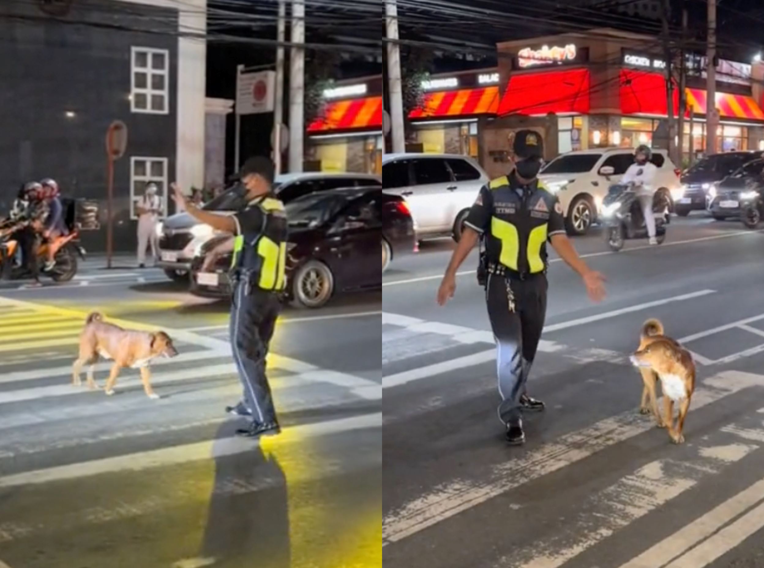 heartwarming scene! traffic officer in the philippines stops cars so stray dog could cross!