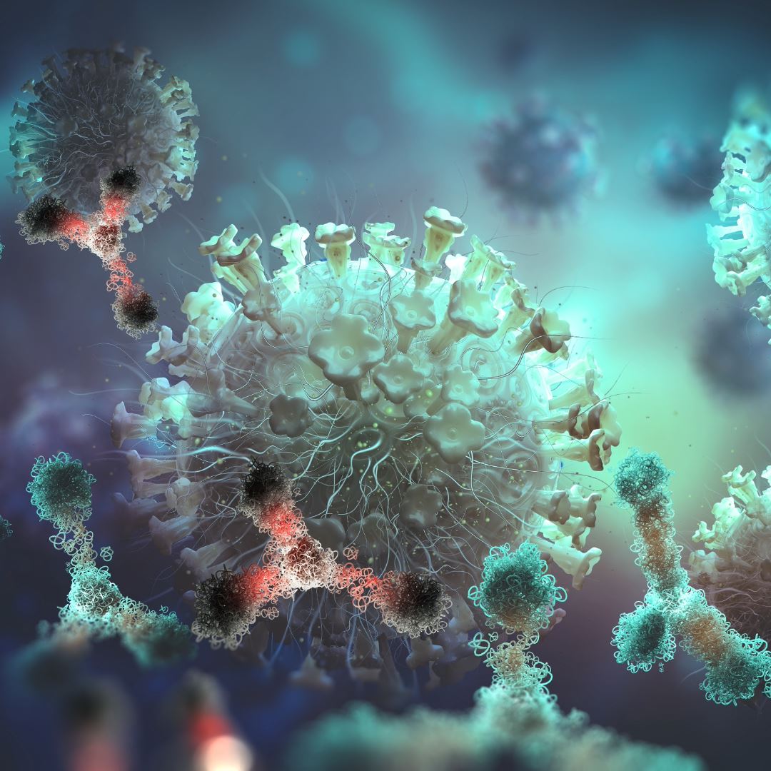 「hk.3 + jn.1」变种病毒杀进大马！这个地区已出现病例！