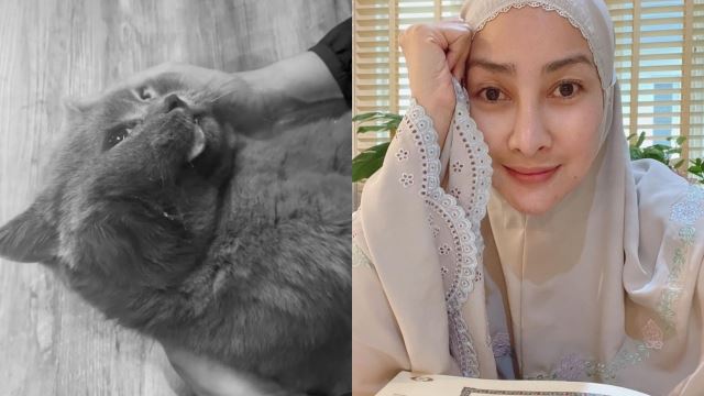 rita-sedih-kucing-mati-64_1.jpg