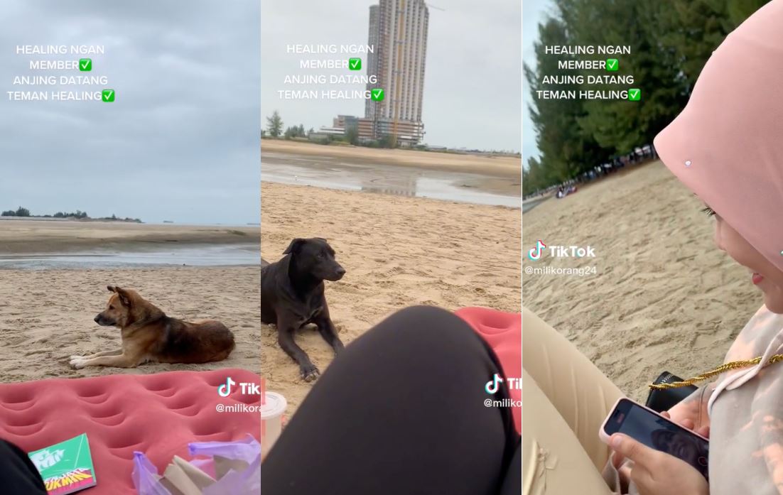 video of two nervous girl goes viral after doggos appeared out of nowhere & sit next to them