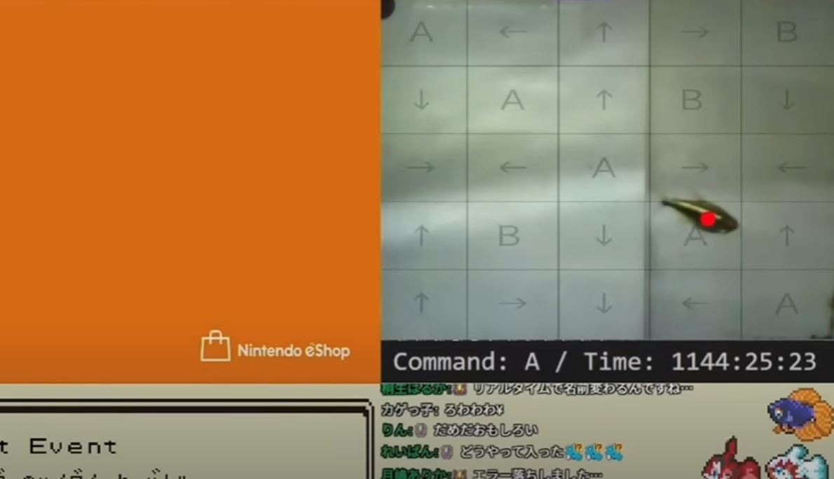 pet fish “goes shopping” in japan, charging its owner’s credit card using nintendo switch