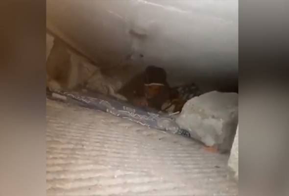 mangsa gempa bumi terperangkap bawah runtuhan minta air untuk solat