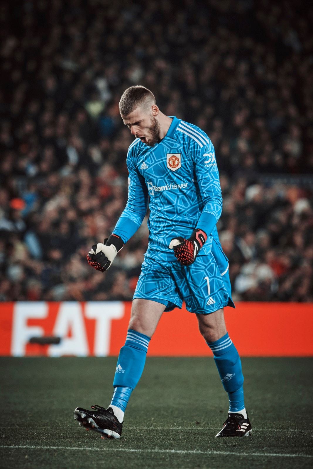 de gea penjaga gol terbaik man u? 