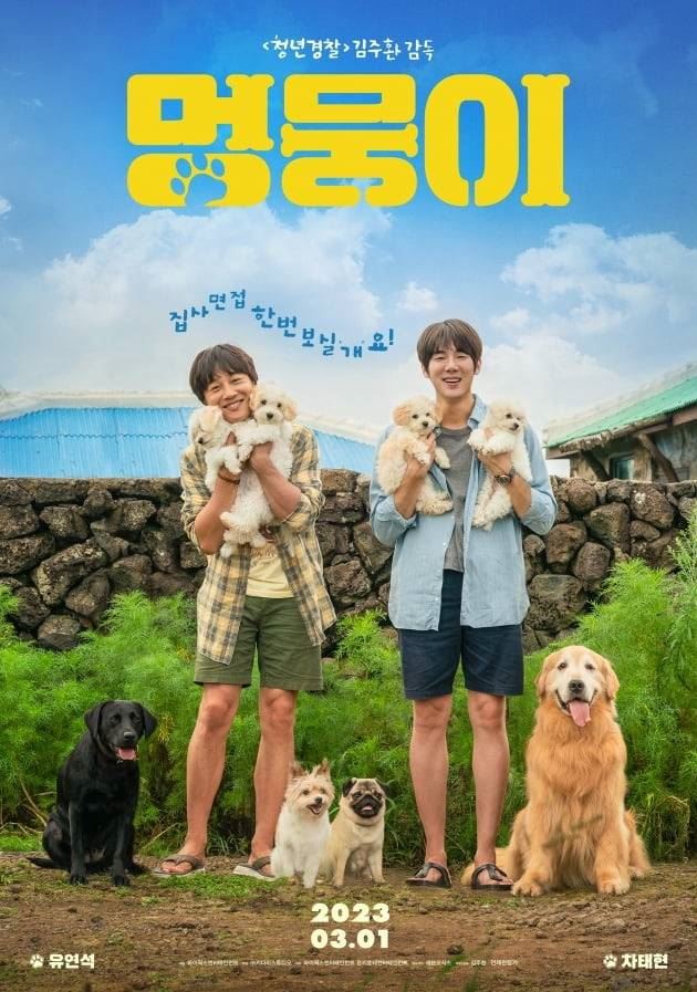 🎬韩国疗愈电影《小狗狗》定档3月1日上映❗️帮疼爱的宠物找新主人🐶