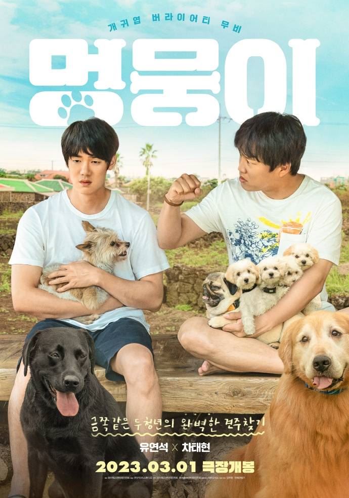 🎬韩国疗愈电影《小狗狗》定档3月1日上映❗️帮疼爱的宠物找新主人🐶